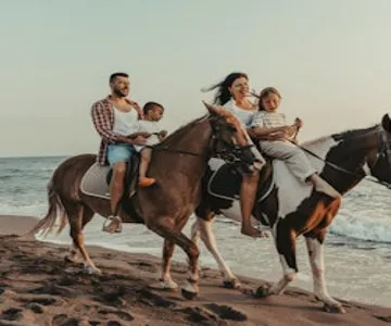 Horse Riding Tour: Sea and Desert with Transfer - Hurghada
